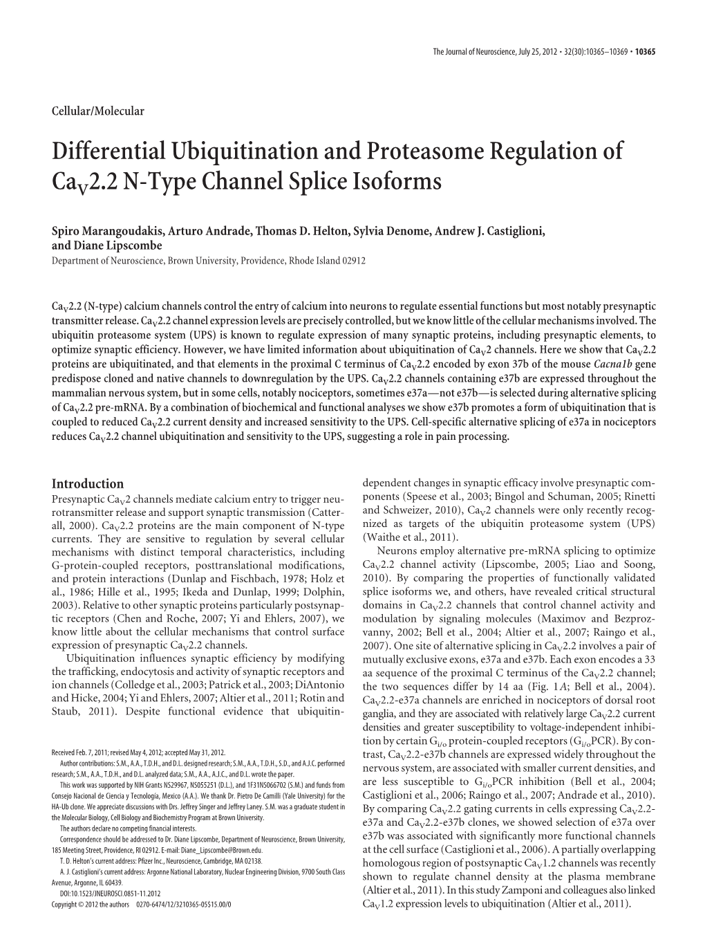 Differential Ubiquitination and Proteasome Regulation of Cav 2.2 N-Type Channel Splice Isoforms