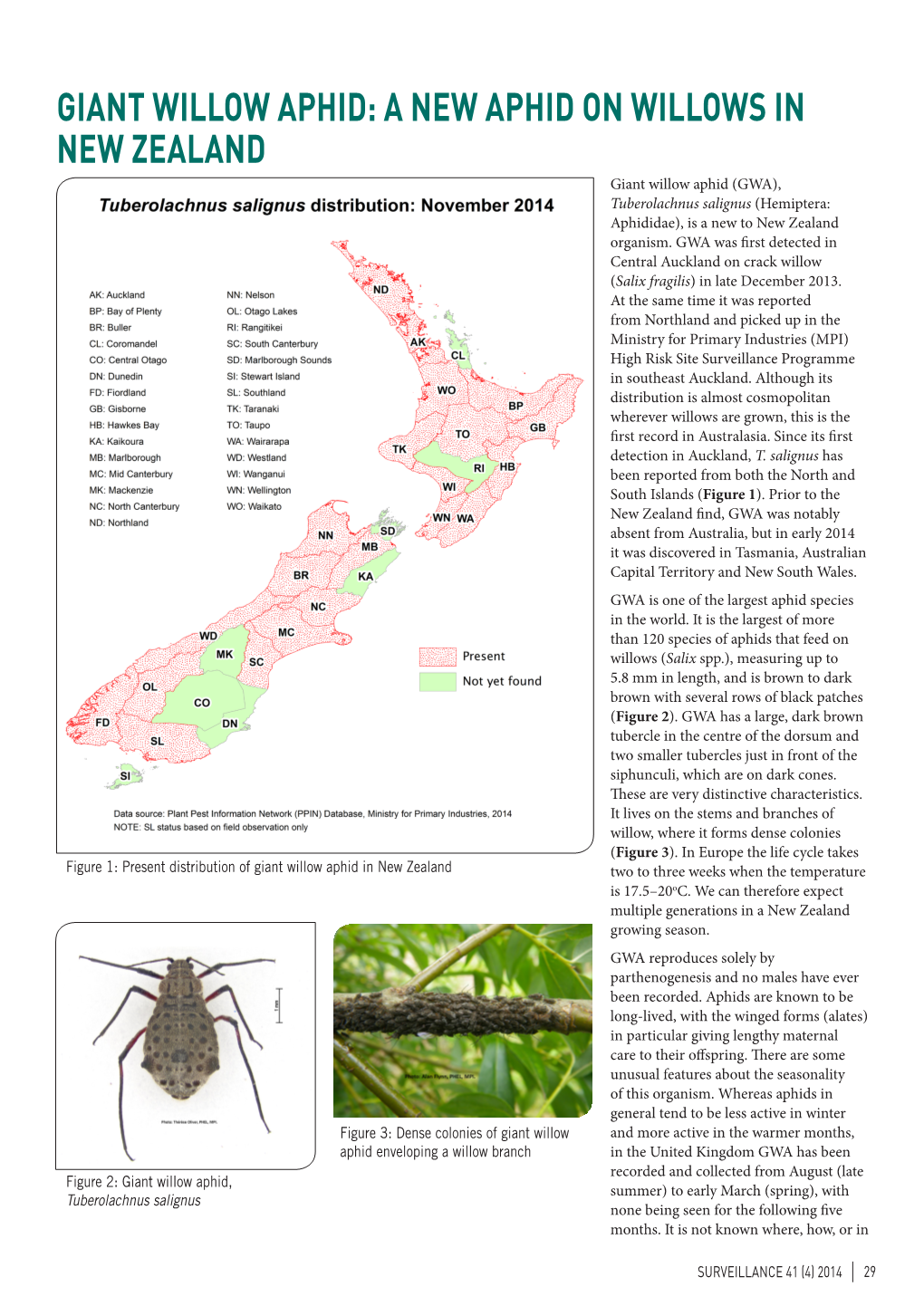 GIANT WILLOW APHID: a NEW APHID on WILLOWS in NEW ZEALAND Giant Willow Aphid (GWA), Tuberolachnus Salignus (Hemiptera: Aphididae), Is a New to New Zealand Organism