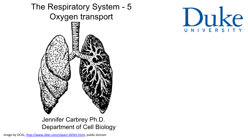 The Respiratory System - 5 Oxygen Transport