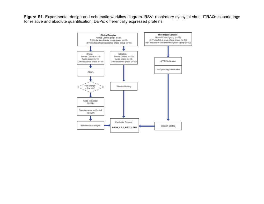 Respiratory Syncytial Virus; Itraq: Isobaric Tags for Relative and Absolute Quantification; Deps: Differentially Expressed Proteins