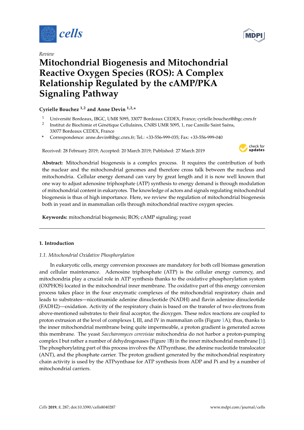 Mitochondrial Biogenesis and Mitochondrial Reactive Oxygen Species (ROS): a Complex Relationship Regulated by the Camp/PKA Signaling Pathway