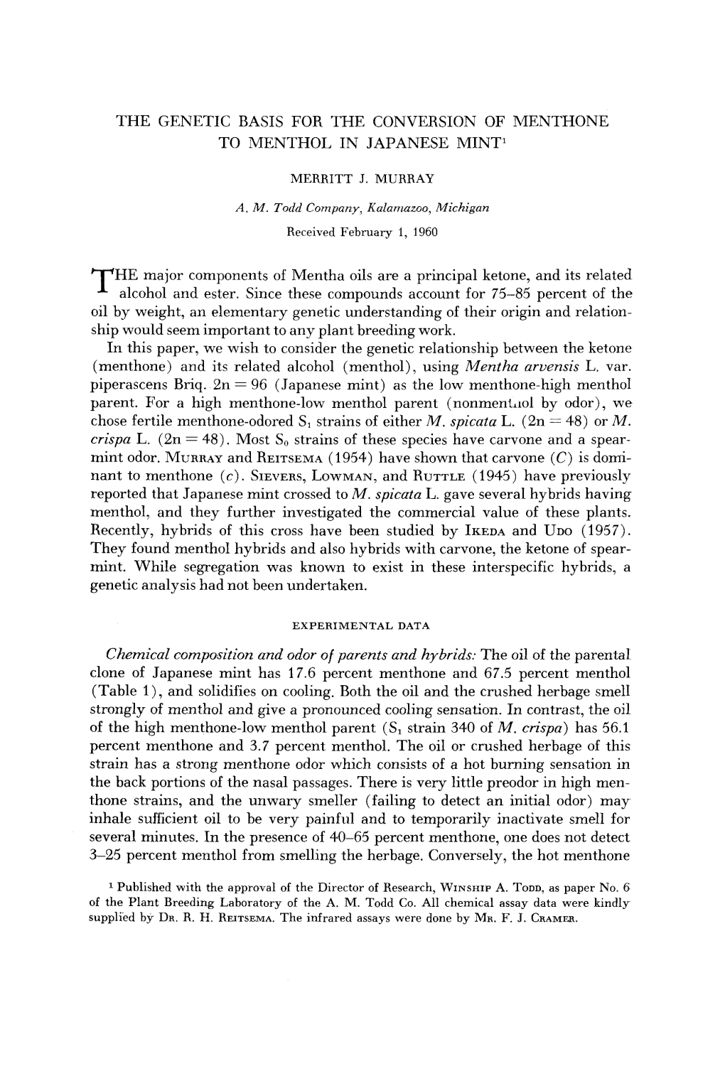 The Genetic Basis for the Conversion of Ment'hone To