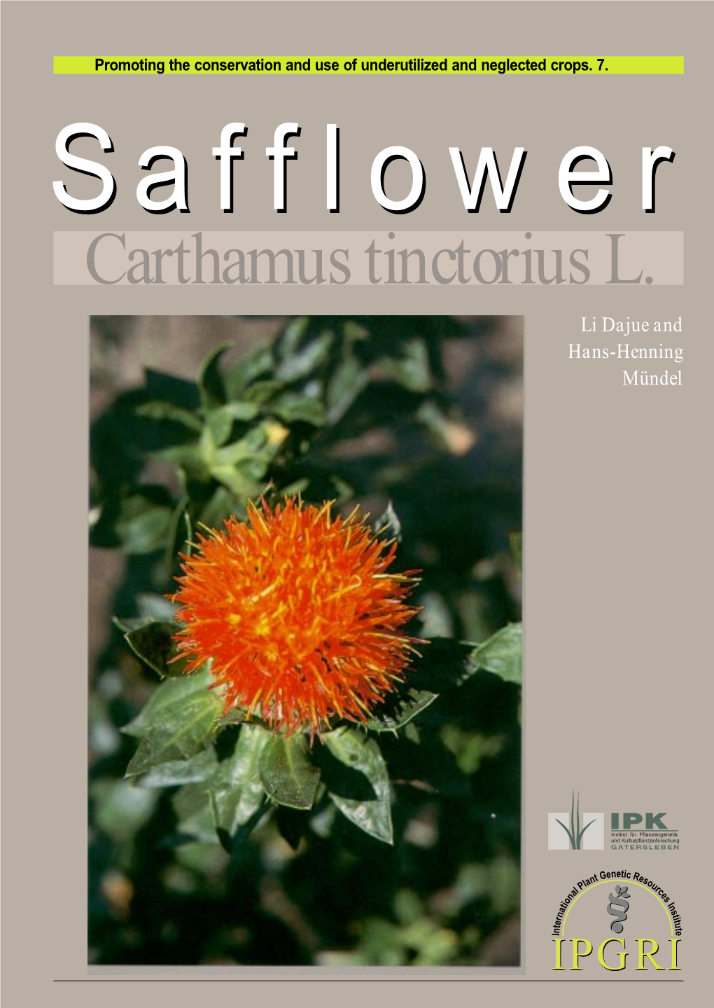 Safflower, Carthamus Tinctorius L., Is a Member of the Family Compositae Or Asteraceae, Cultivated Mainly for Its Seed, Which Is Used As Edible Oil and As Bird- Seed