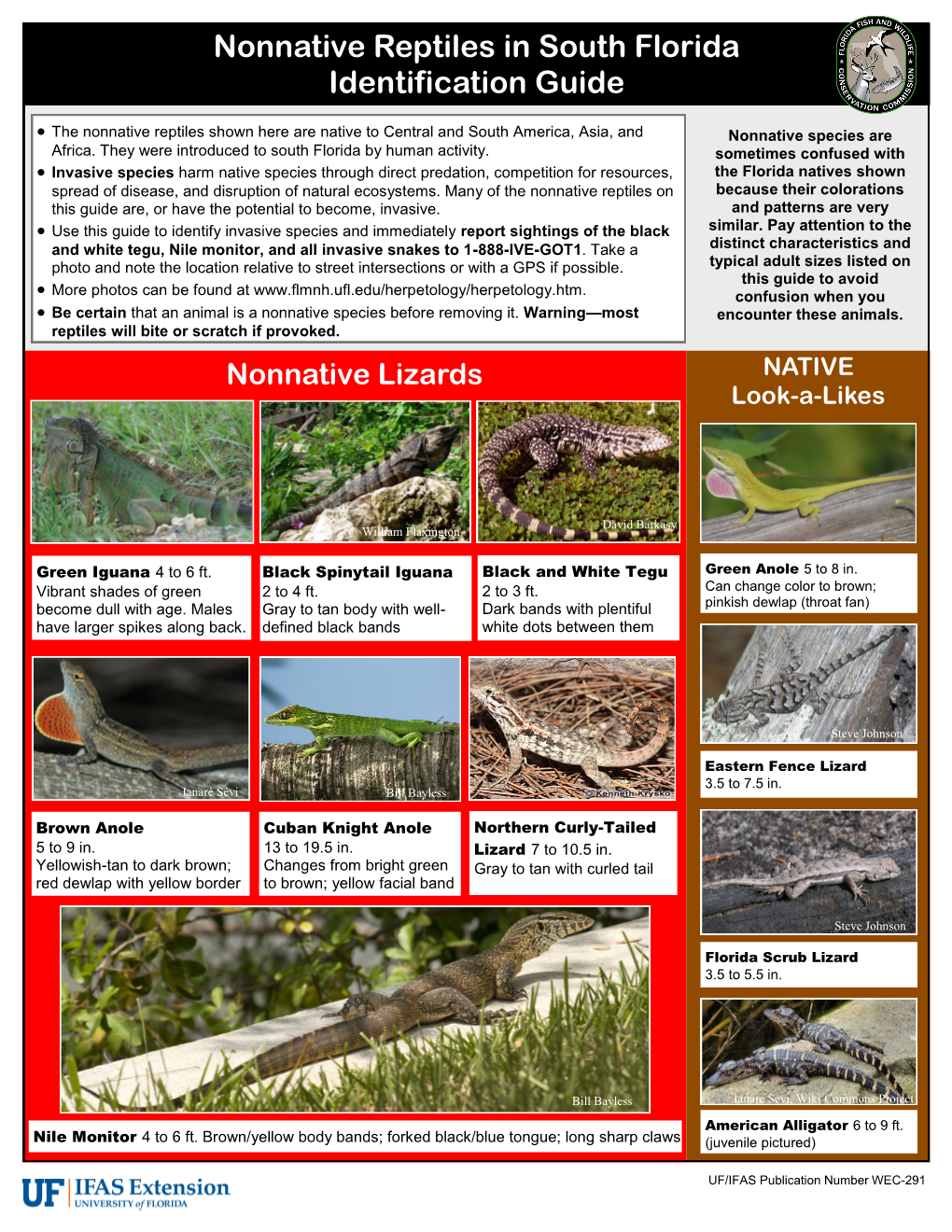 Nonnative Reptiles in South Florida Identification Guide