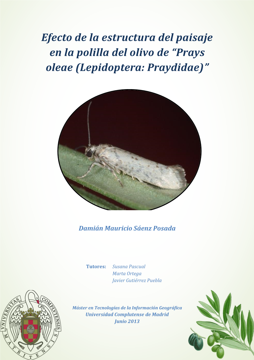Efecto De La Estructura Del Paisaje En La Polilla Del Olivo De “Prays Oleae (Lepidoptera: Praydidae)”