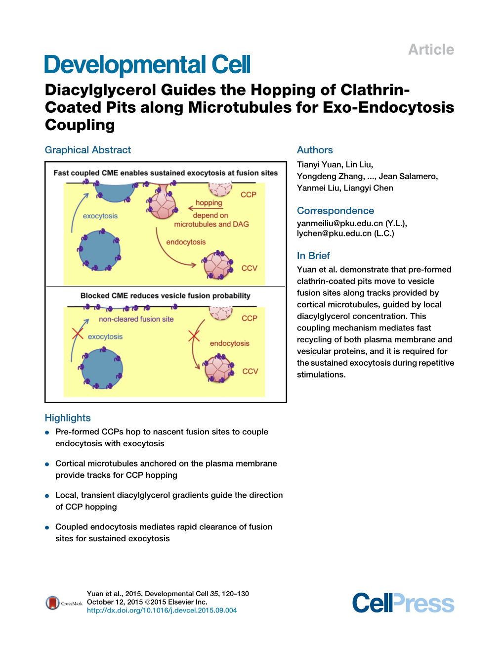 Diacylglycerol Guides the Hopping of Clathrin-Coated Pits Along Microtubules for Exo-Endocytosis Coupling