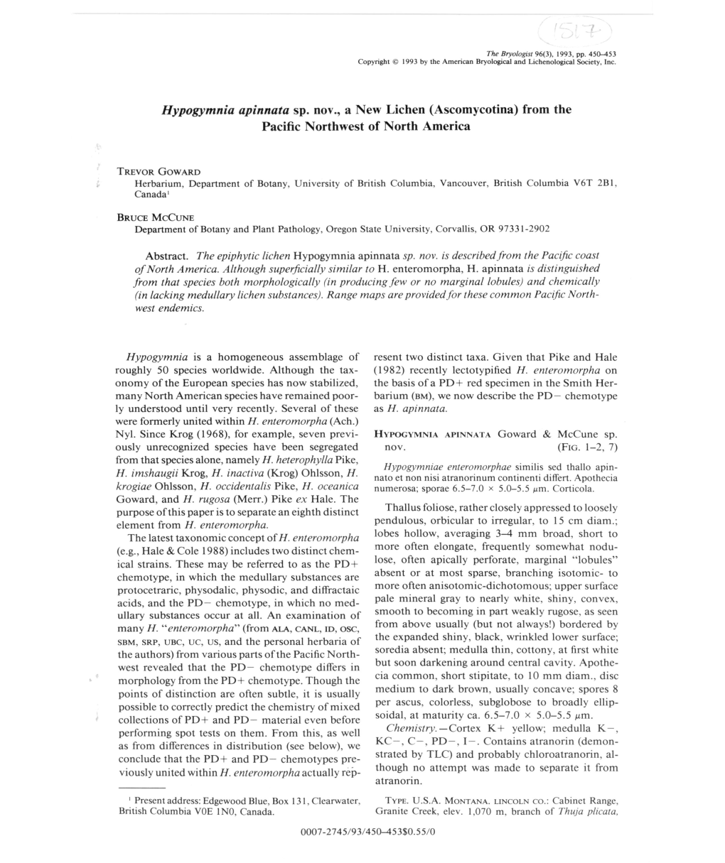 Hypogymnia Apinnata Sp. Nov., a New Lichen (Ascomycotina) from the Pacific Northwest of North America