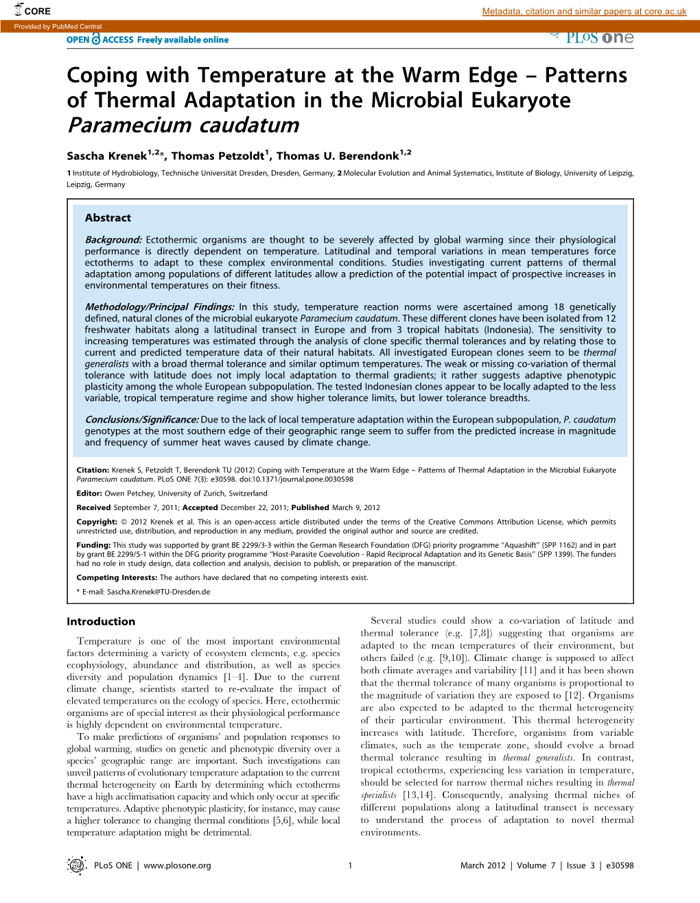 Paramecium Caudatum