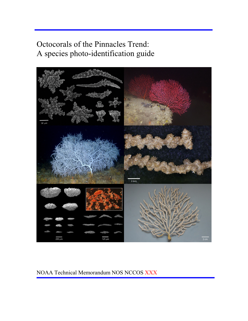 Octocorals of the Pinnacles Trend: a Species Photo-Identification Guide