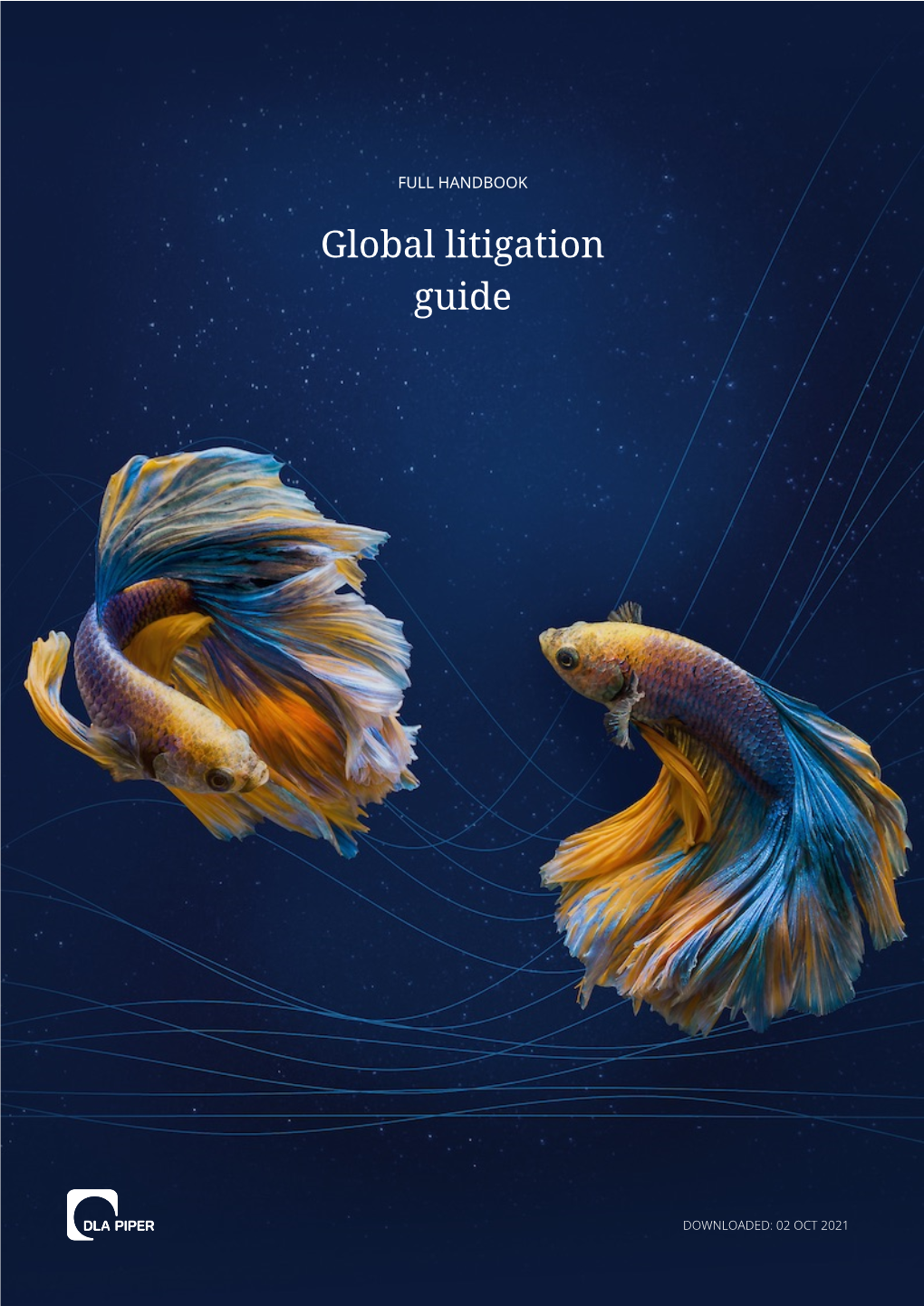 Global Litigation Guide