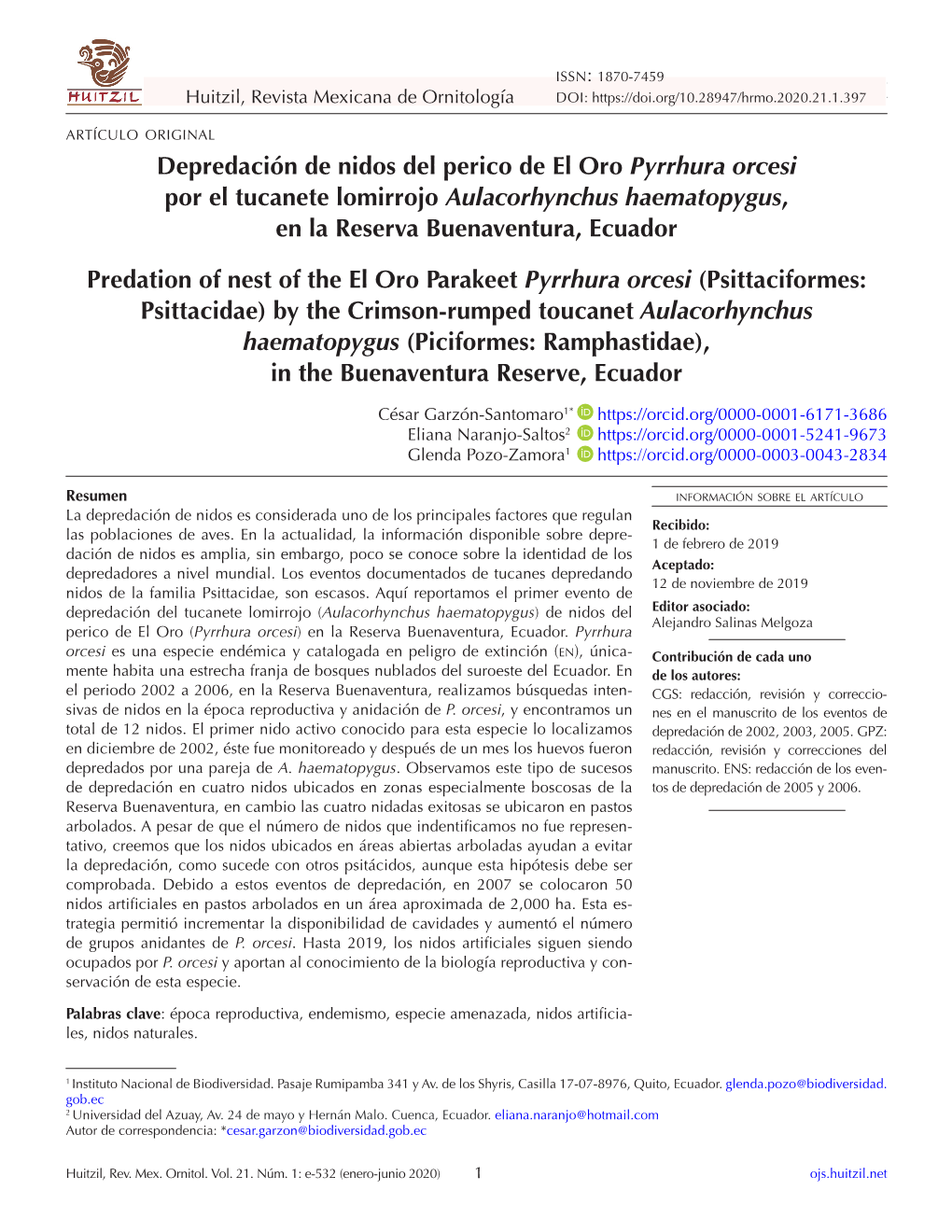 Depredación De Nidos Del Perico De El Oro Pyrrhura Orcesi Por El Tucanete Lomirrojo Aulacorhynchus Haematopygus, En La Reserva Buenaventura, Ecuador