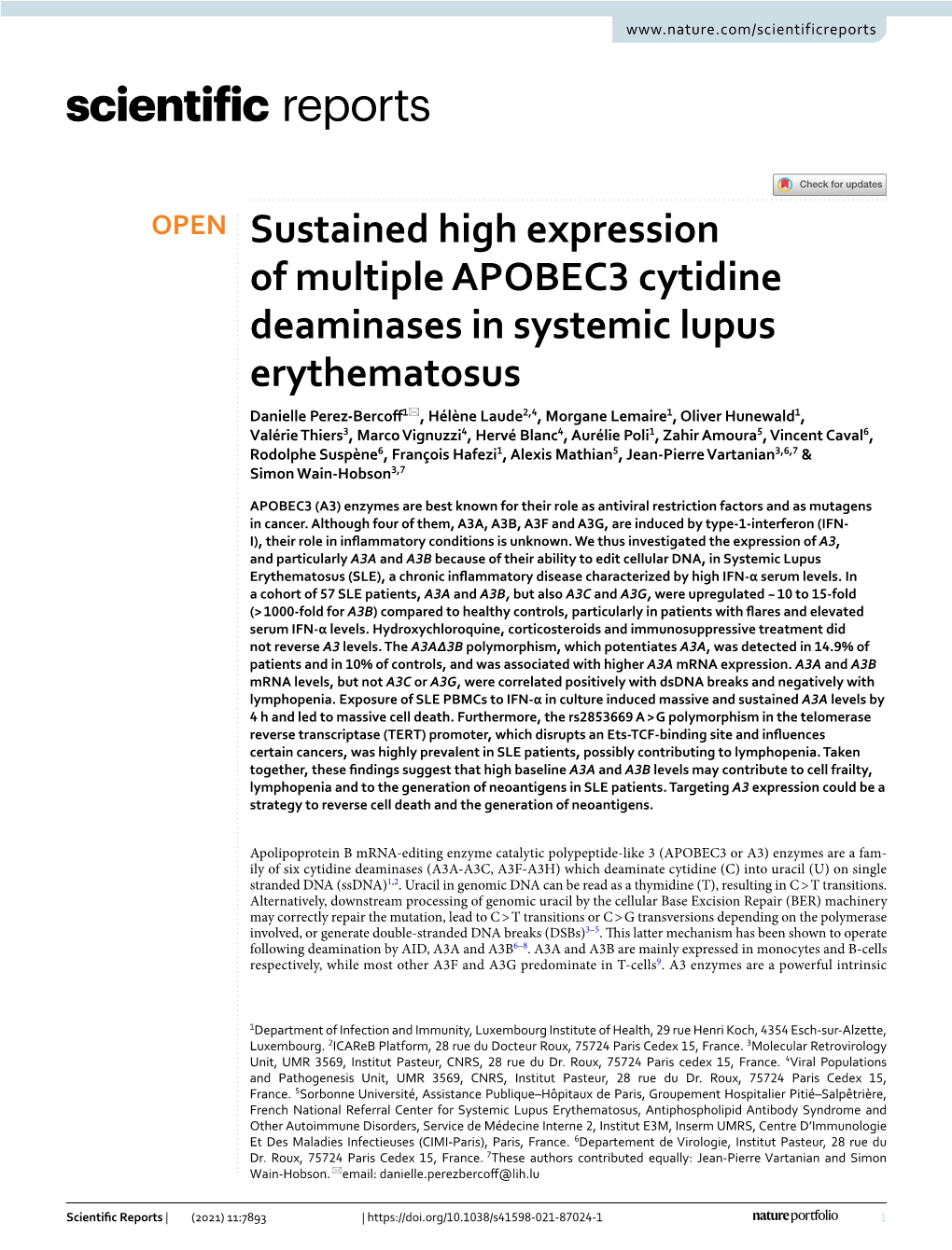 Sustained High Expression of Multiple APOBEC3 Cytidine Deaminases In