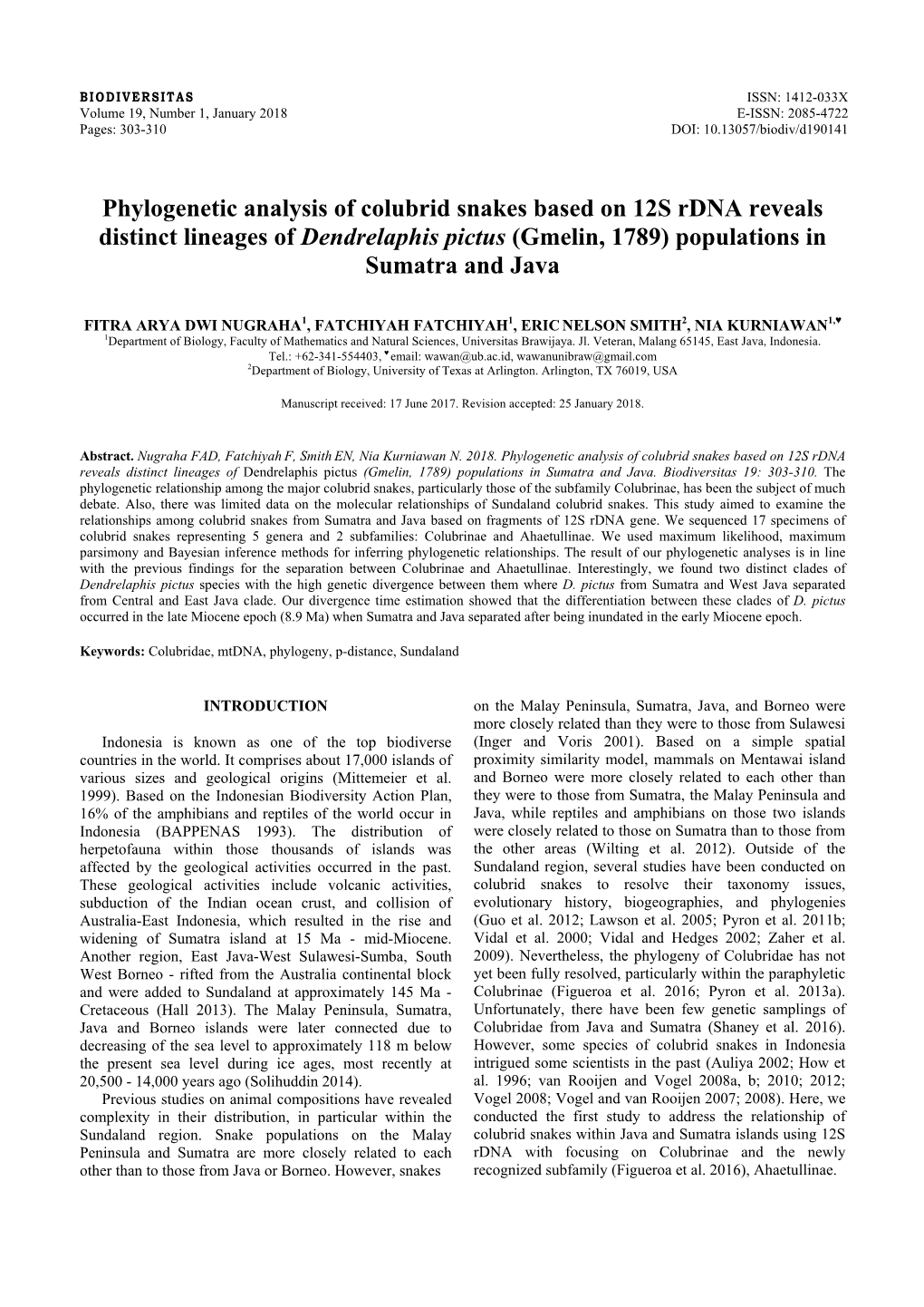 Phylogenetic Analysis of Colubrid Snakes Based on 12S Rdna Reveals Distinct Lineages of Dendrelaphis Pictus (Gmelin, 1789) Populations in Sumatra and Java