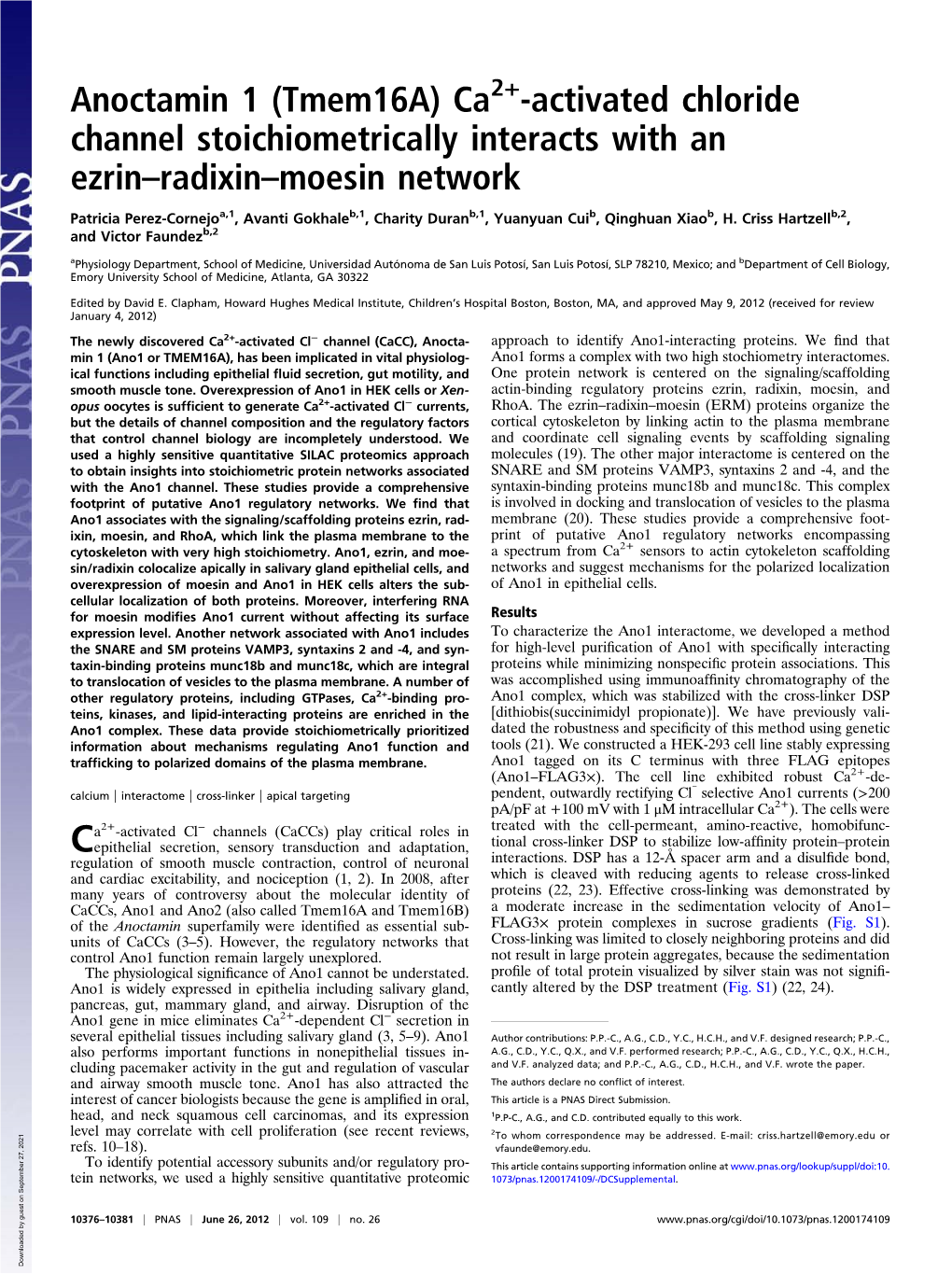 Activated Chloride Channel Stoichiometrically Interacts with an Ezrin–Radixin–Moesin Network