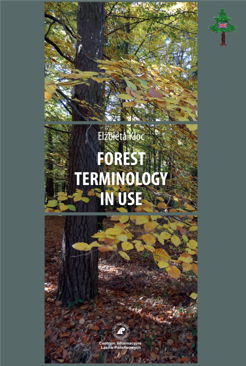 Forest Terminology in Use