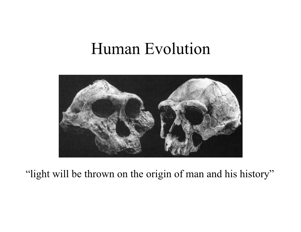 Human Evolution