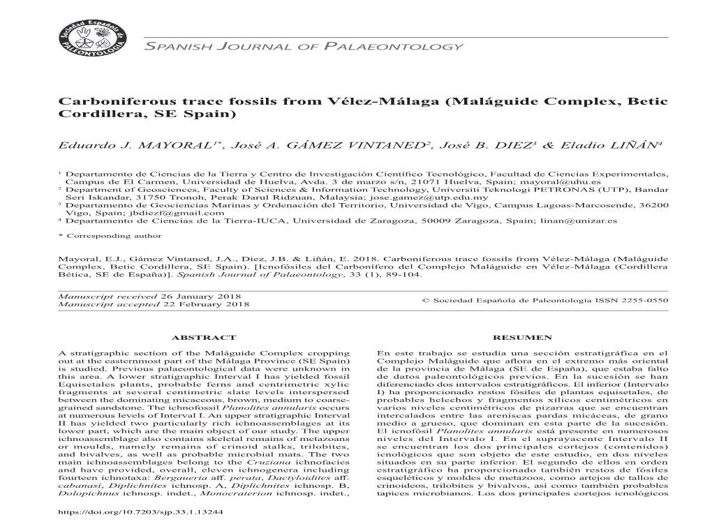 Carboniferous Trace Fossils from Vélez-Málaga (Maláguide Complex, Betic Cordillera, SE Spain)