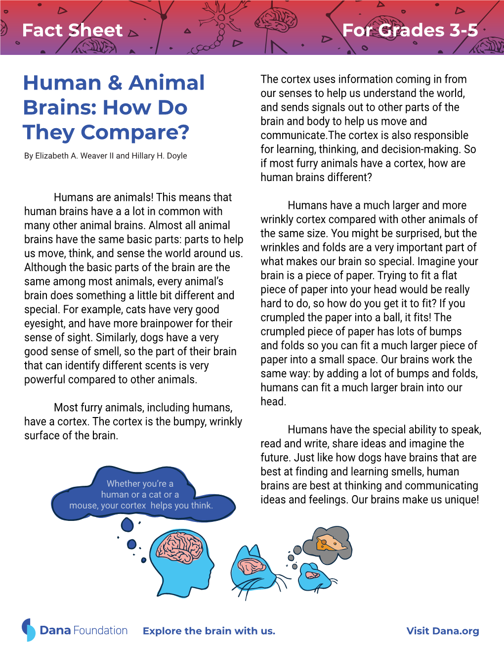 Human & Animal Brains: How Do They Compare? Grades