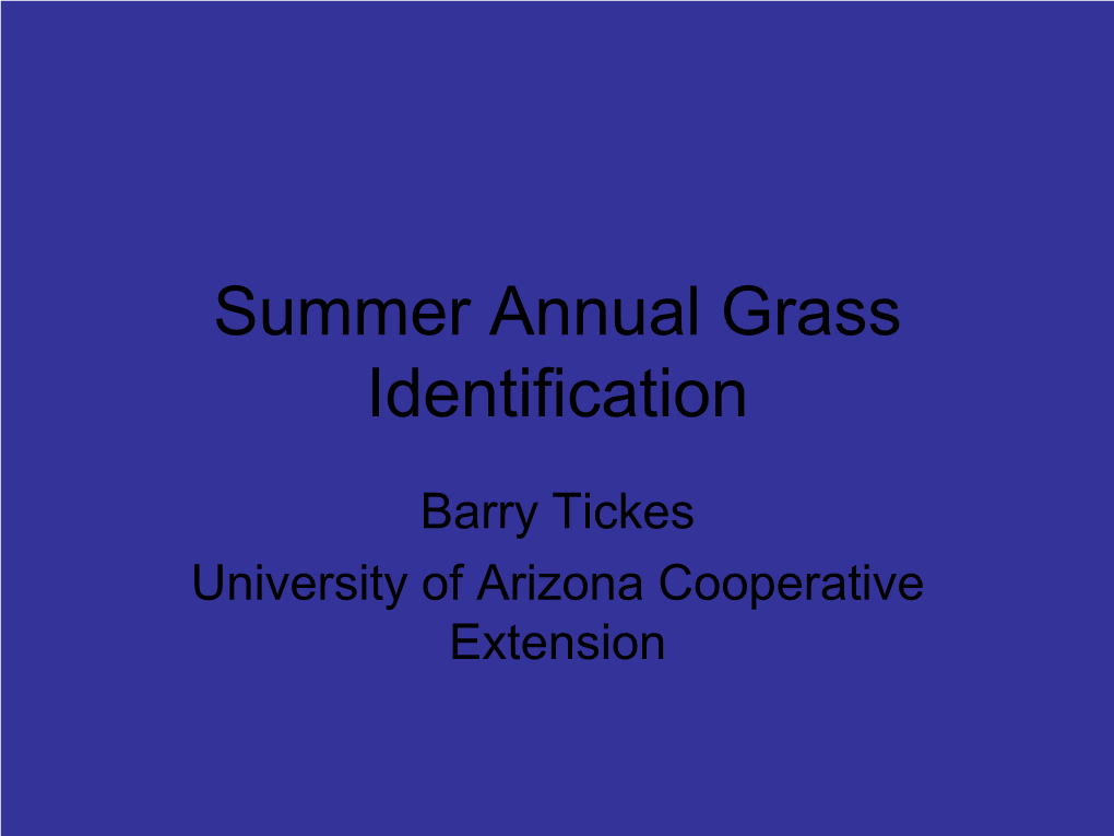 Summer Annual Grass Identification