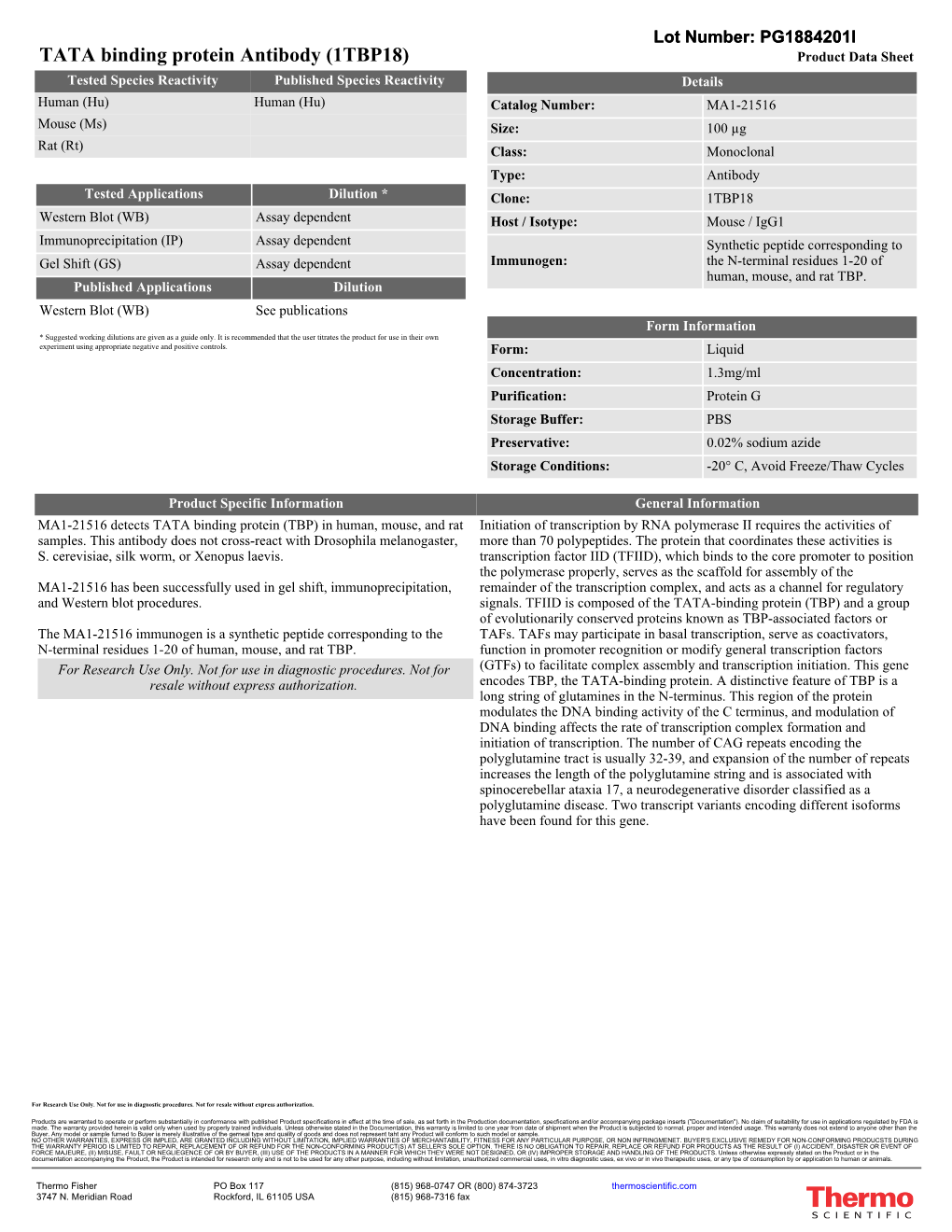 TATA Binding Protein Antibody (1TBP18)