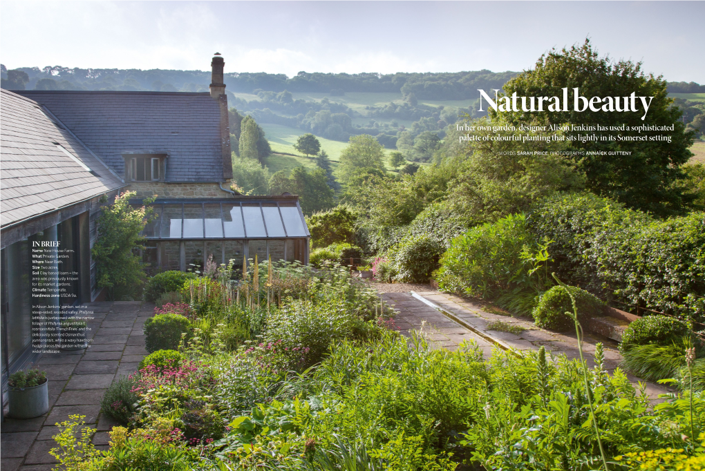 Natural Beauty in Her Own Garden, Designer Alison Jenkins Has Used a Sophisticated Palette of Colourful Planting That Sits Lightly in Its Somerset Setting