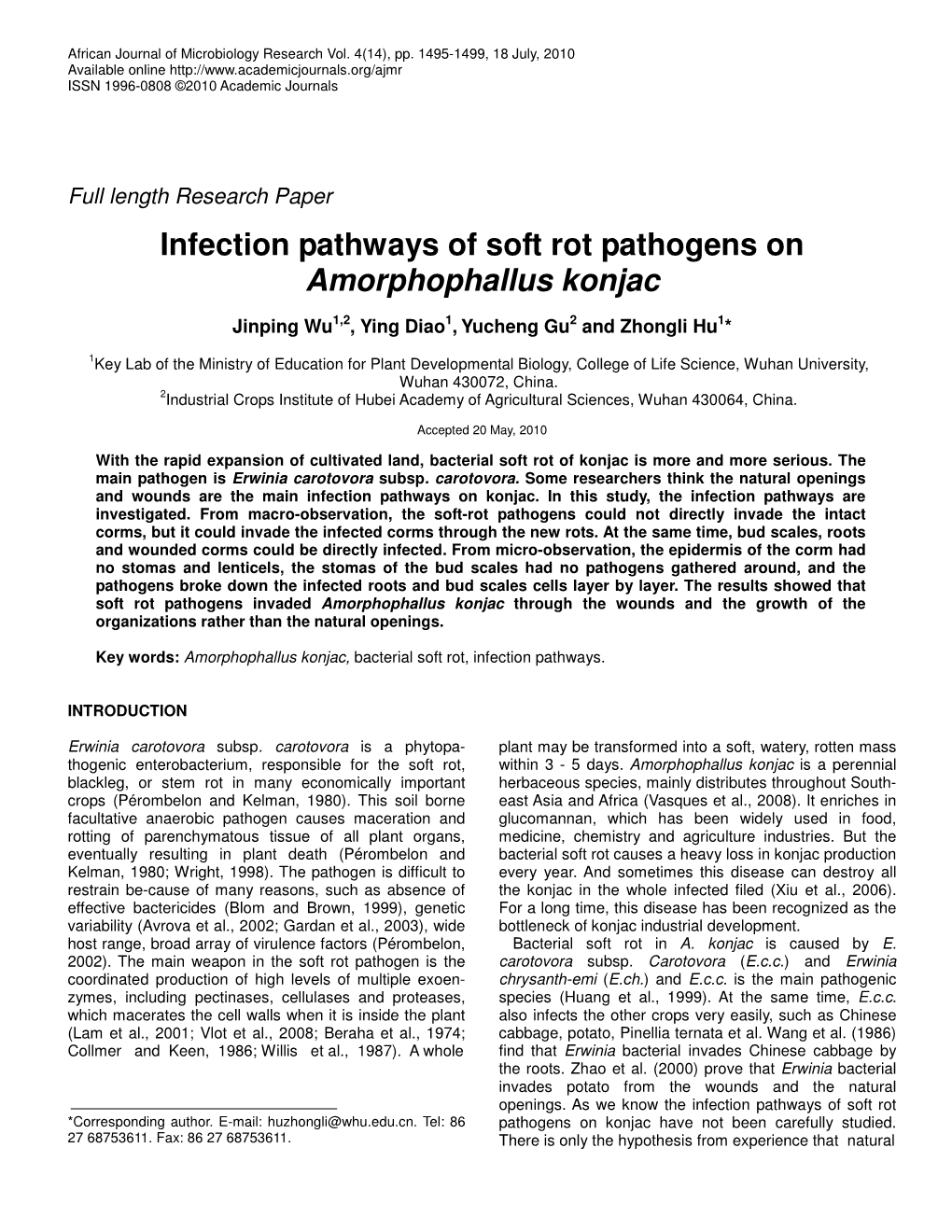 Infection Pathways of Soft Rot Pathogens on Amorphophallus Konjac