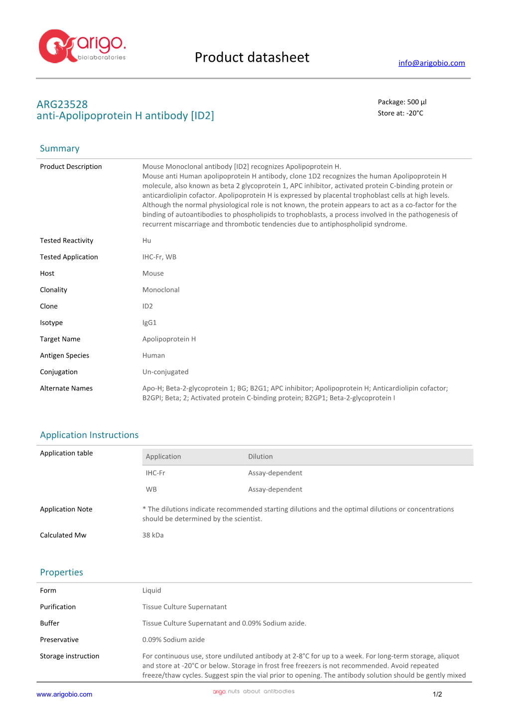 Anti-Apolipoprotein H Antibody [ID2] (ARG23528)