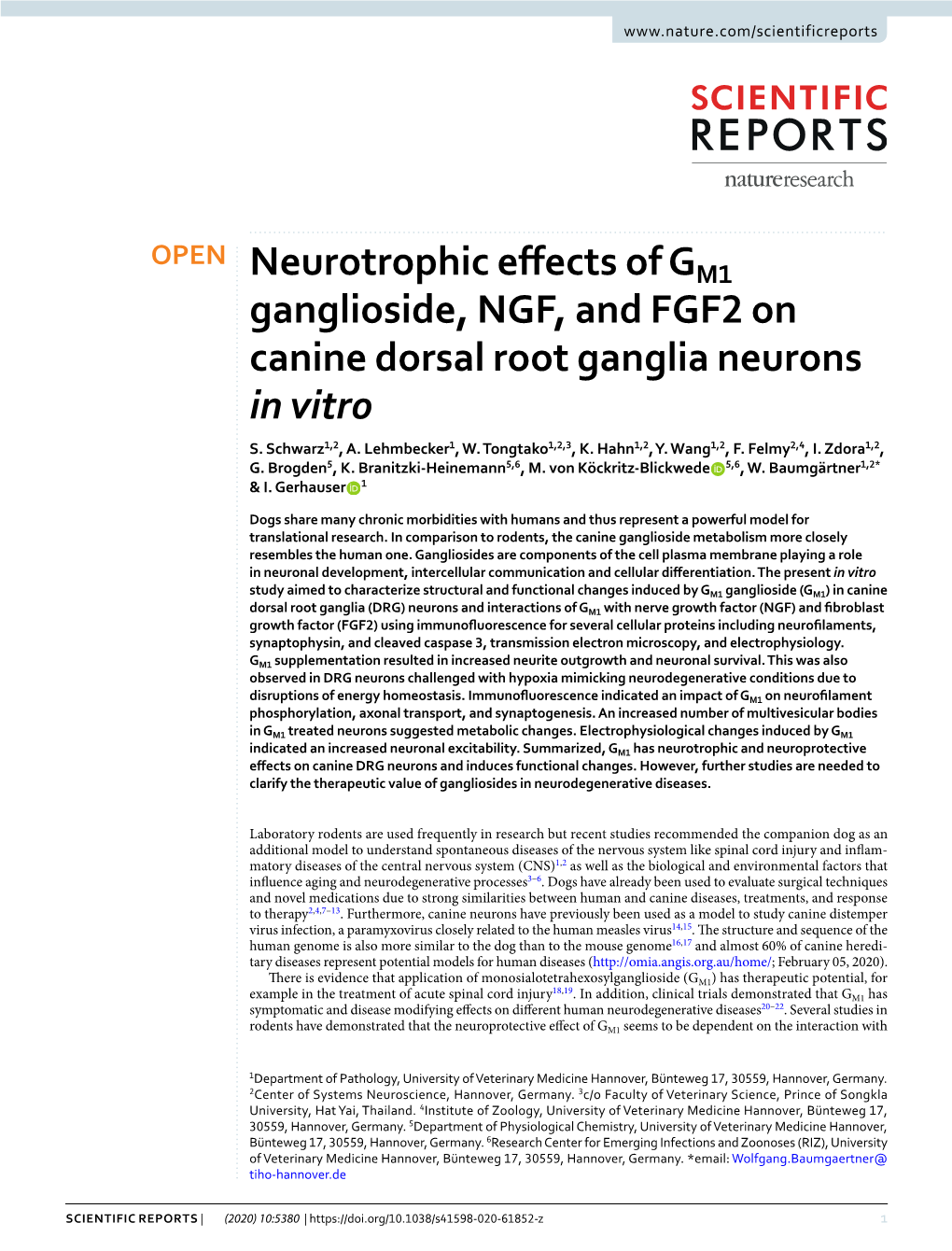 Neurotrophic Effects of GM1 Ganglioside, NGF, and FGF2 On