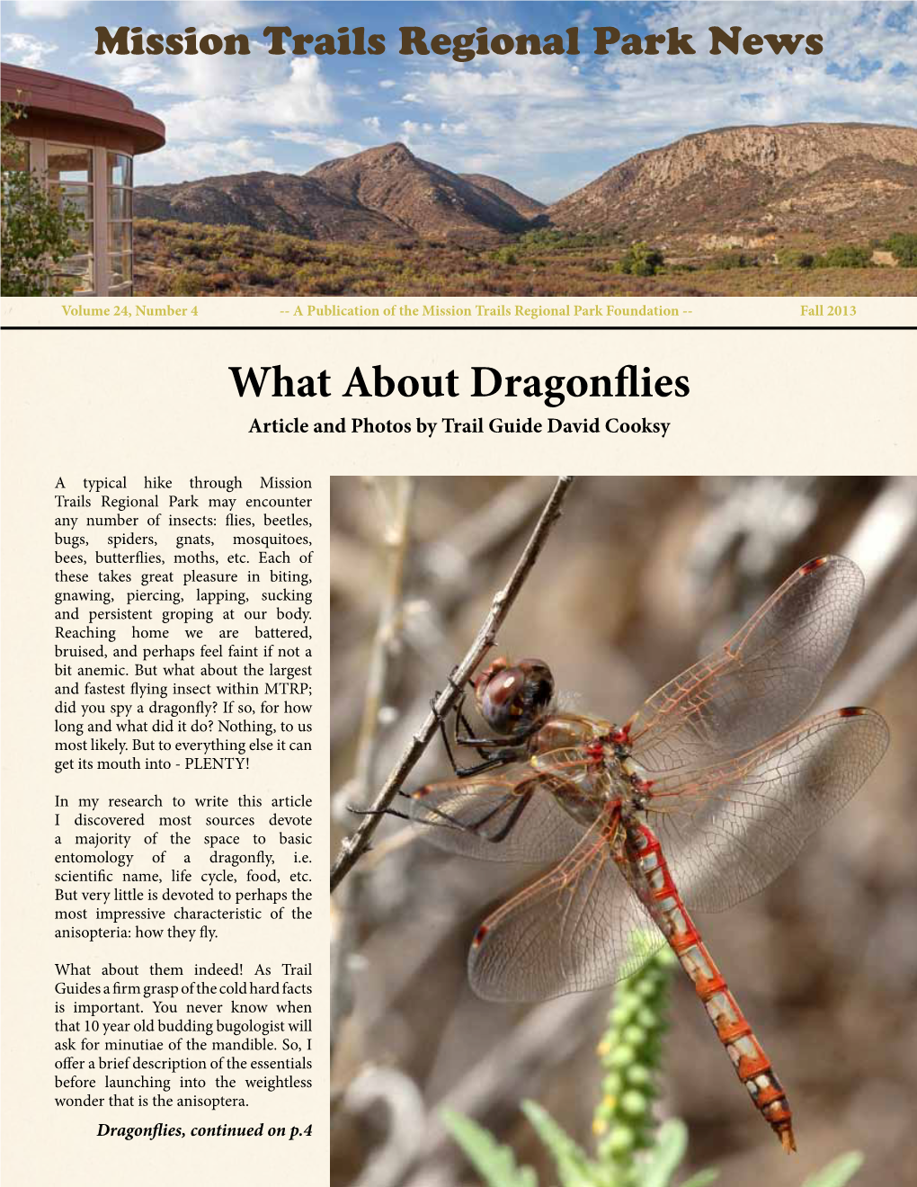 What About Dragonflies Article and Photos by Trail Guide David Cooksy