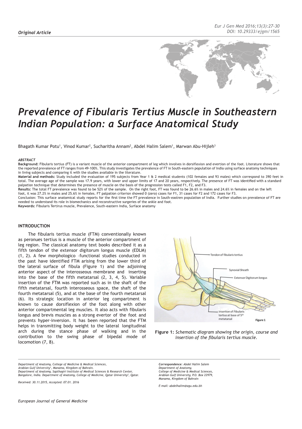 Prevalence of Fibularis Tertius Muscle in Southeastern Indian Population: a Surface Anatomical Study