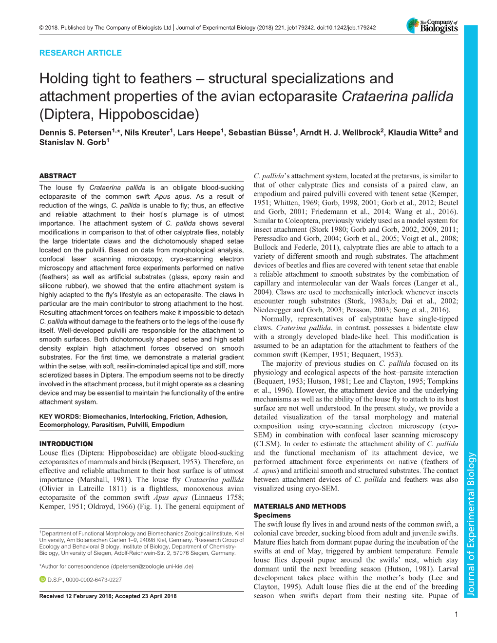 Holding Tight to Feathers – Structural Specializations and Attachment Properties of the Avian Ectoparasite Crataerina Pallida (Diptera, Hippoboscidae) Dennis S