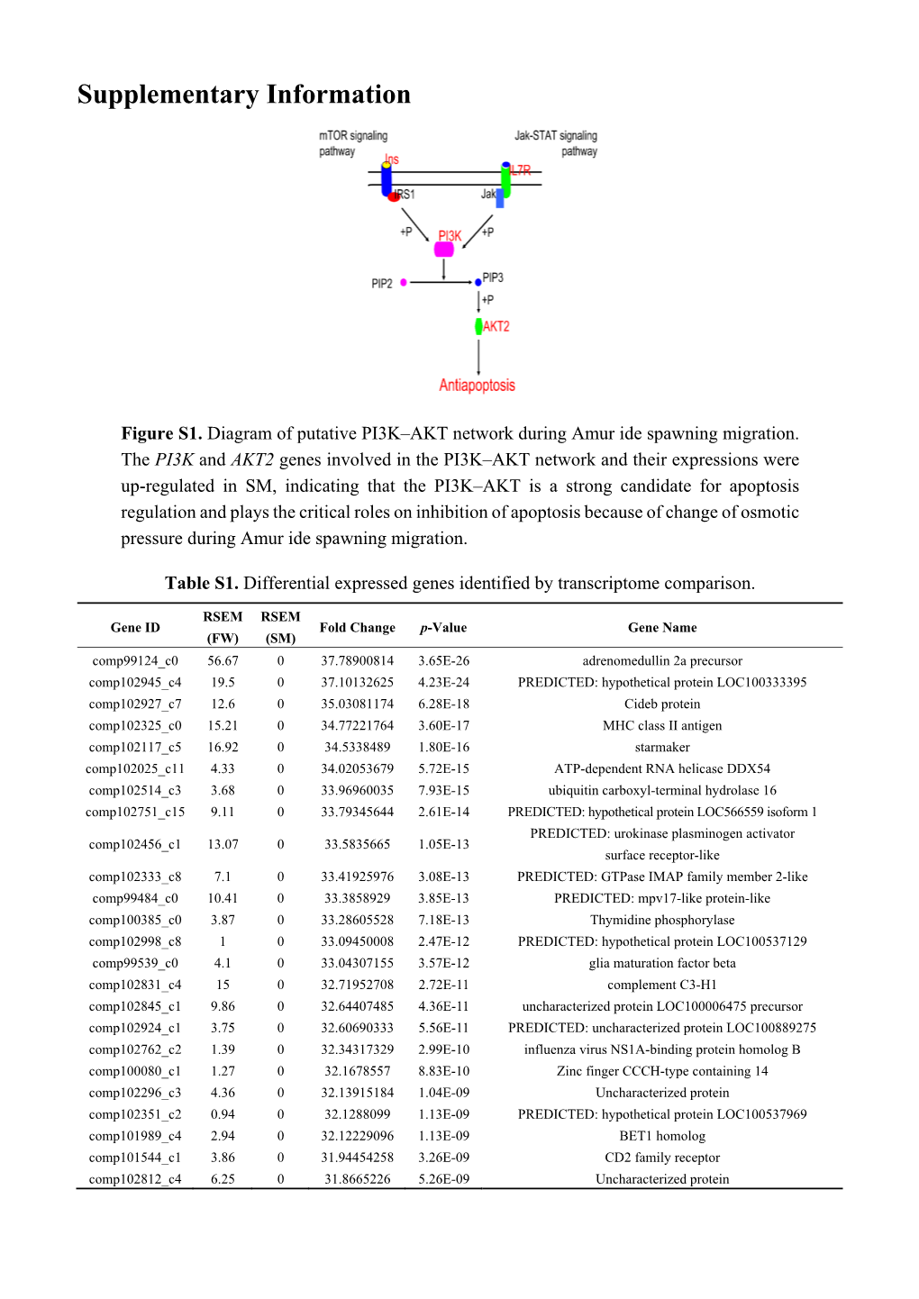 Supplementary Information