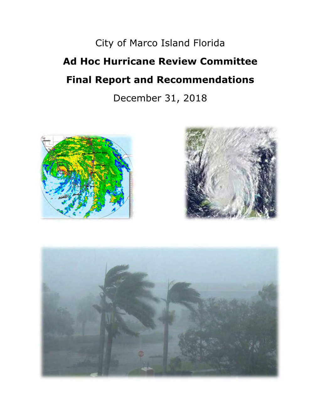 Ad Hoc Hurricane Review Committee Final Report and Recommendations December 31, 2018