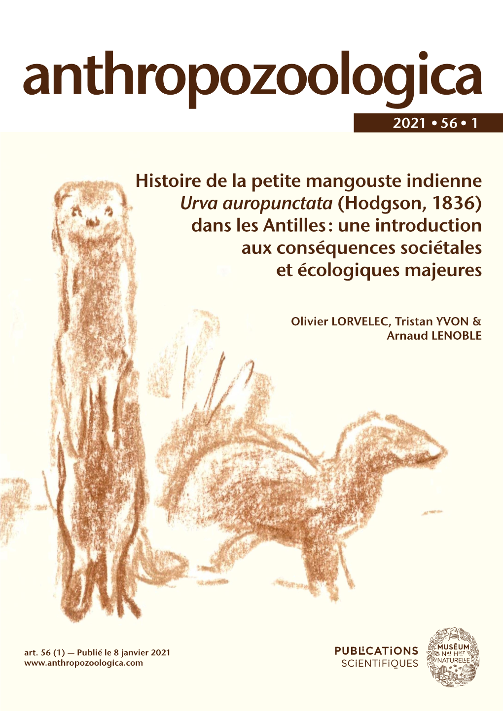 Histoire De La Petite Mangouste Indienne Dans Les Antilles