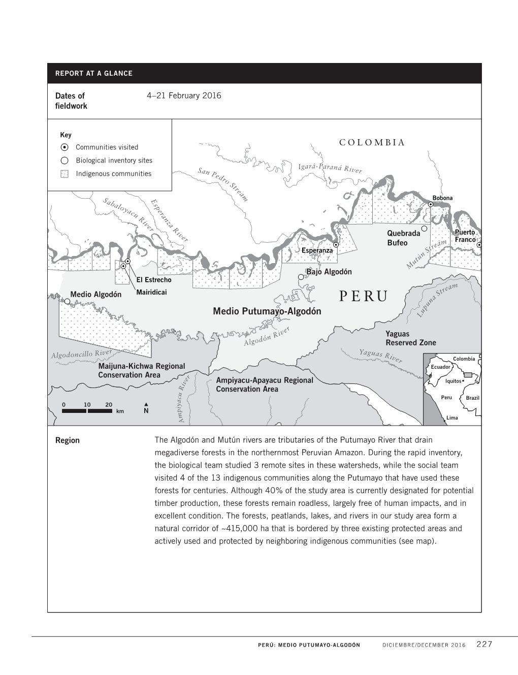 Report at a Glance