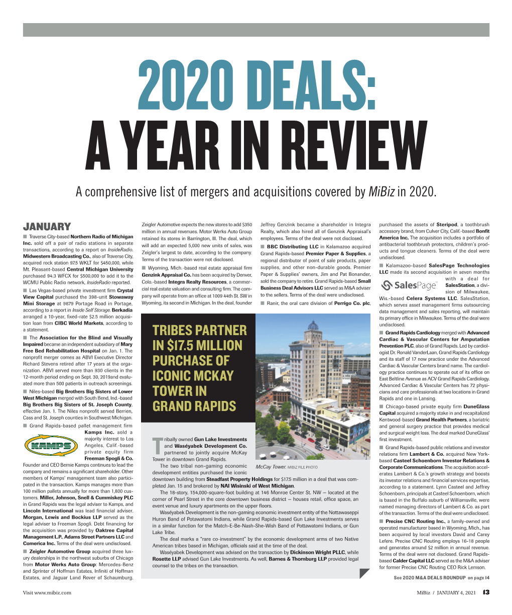 2020 DEALS: a YEAR in REVIEW a Comprehensive List of Mergers and Acquisitions Covered by Mibiz in 2020