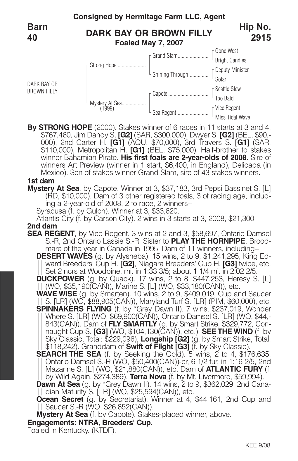 DARK BAY OR BROWN FILLY Barn 40 Hip No. 2915