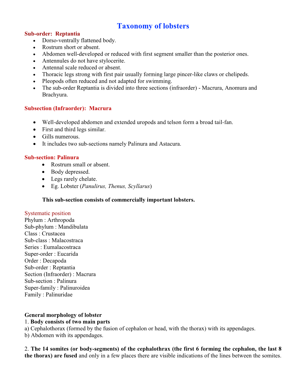 Taxonomy of Lobsters Sub-Order: Reptantia  Dorso-Ventrally Flattened Body