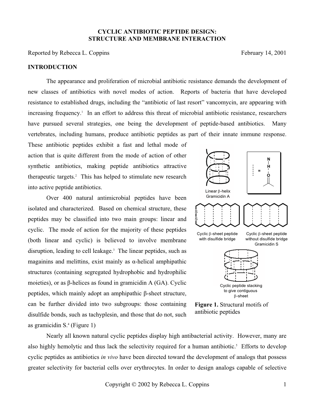 Cyclic Antibiotic Peptides