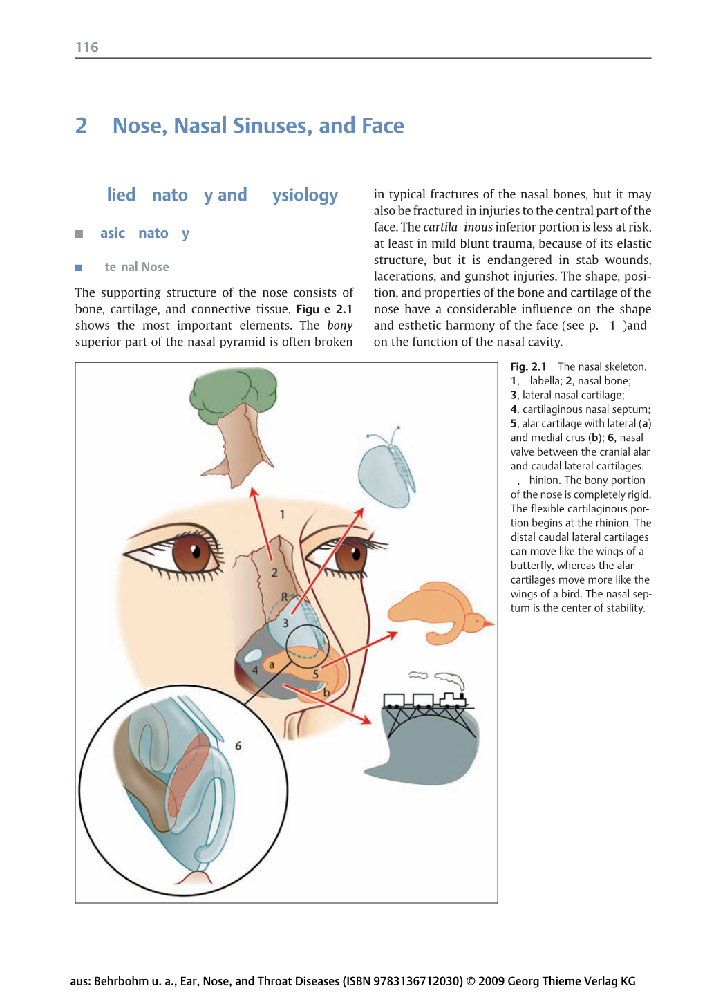 Thieme: Ear, Nose, and Throat Diseases