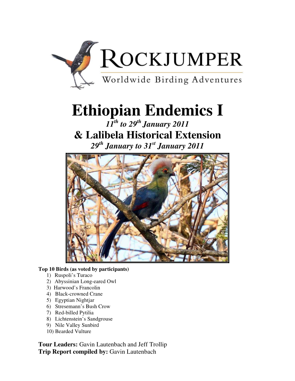 Ethiopian Endemics I 11 Th to 29 Th January 2011 & Lalibela Historical Extension 29 Th January to 31 St January 2011