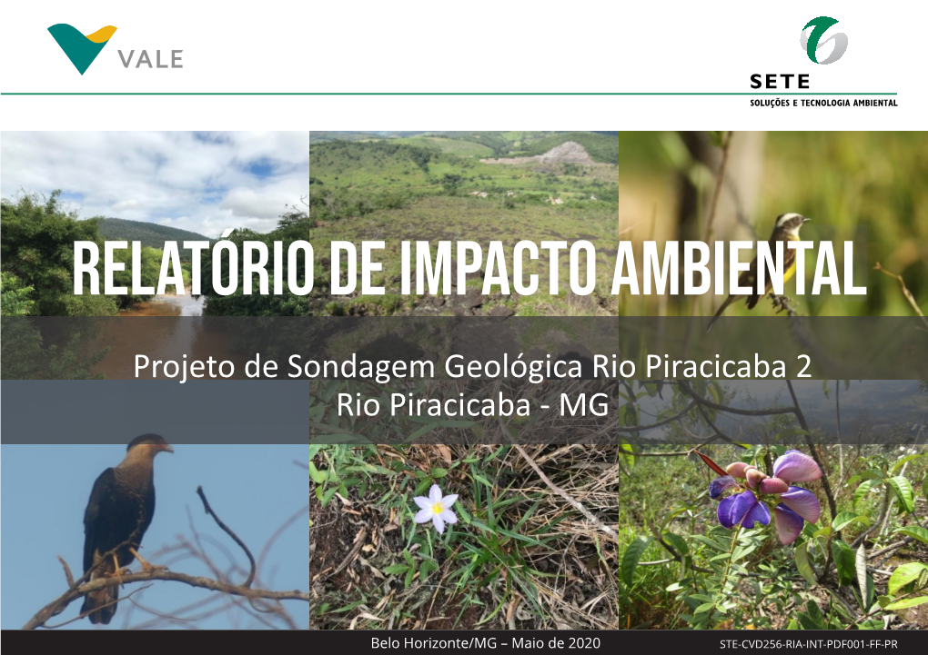 Projeto De Sondagem Geológica Rio Piracicaba 2 Rio Piracicaba - MG