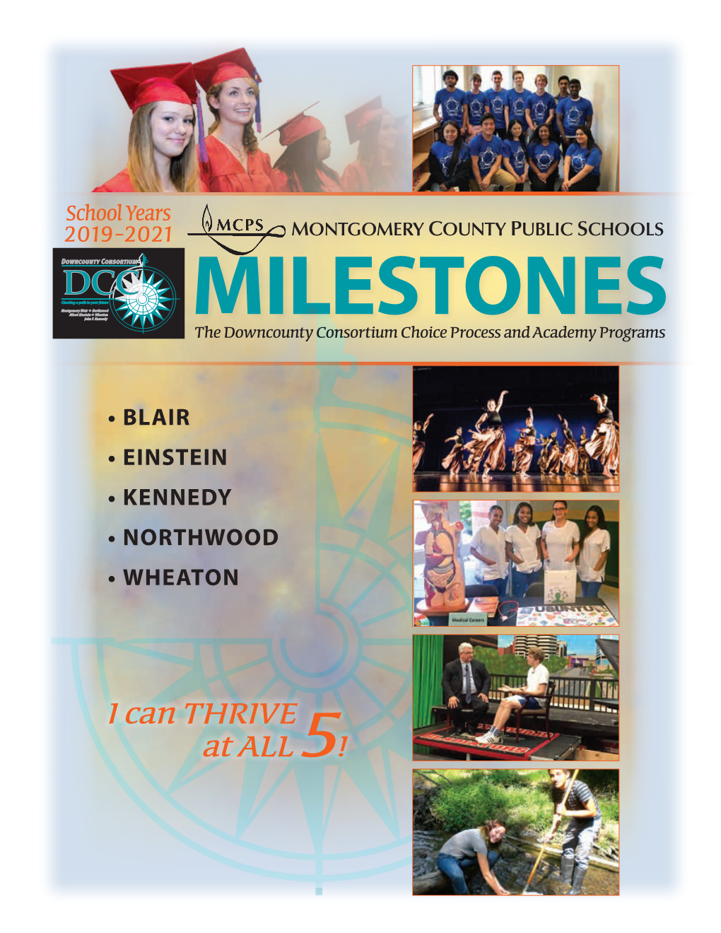 Milestones Booklet, English