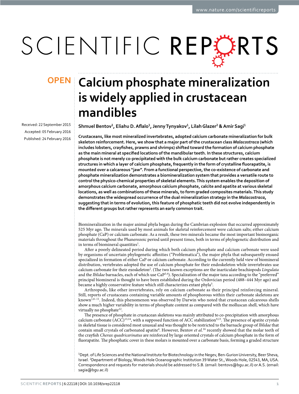 Calcium Phosphate Mineralization Is Widely Applied in Crustacean Mandibles Received: 22 September 2015 Shmuel Bentov1, Eliahu D