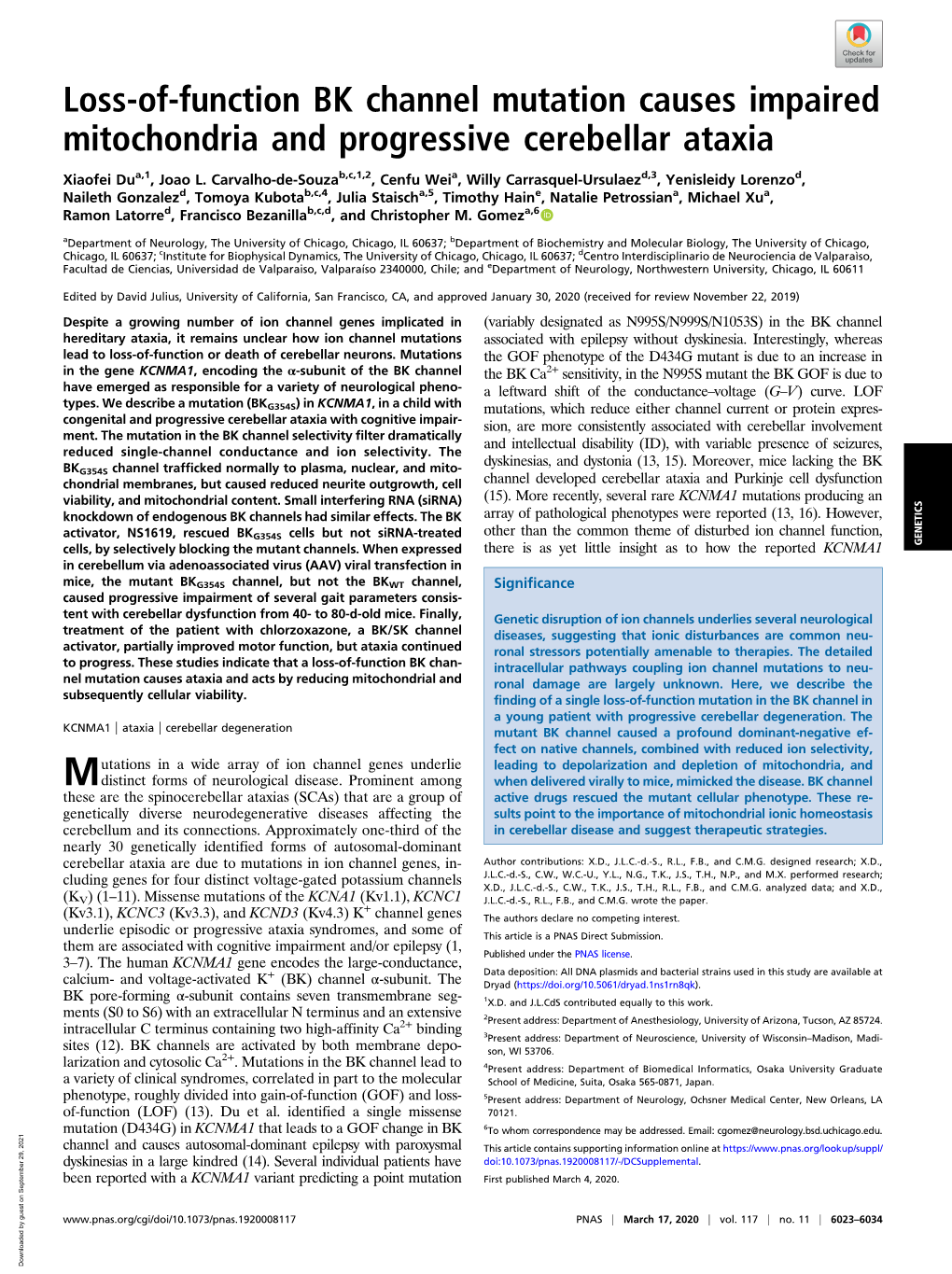 Loss-Of-Function BK Channel Mutation Causes Impaired Mitochondria and Progressive Cerebellar Ataxia