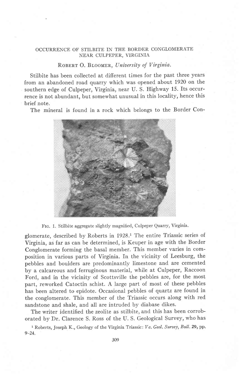 Occurrence of Stilbite in the Border Conglomerate Near