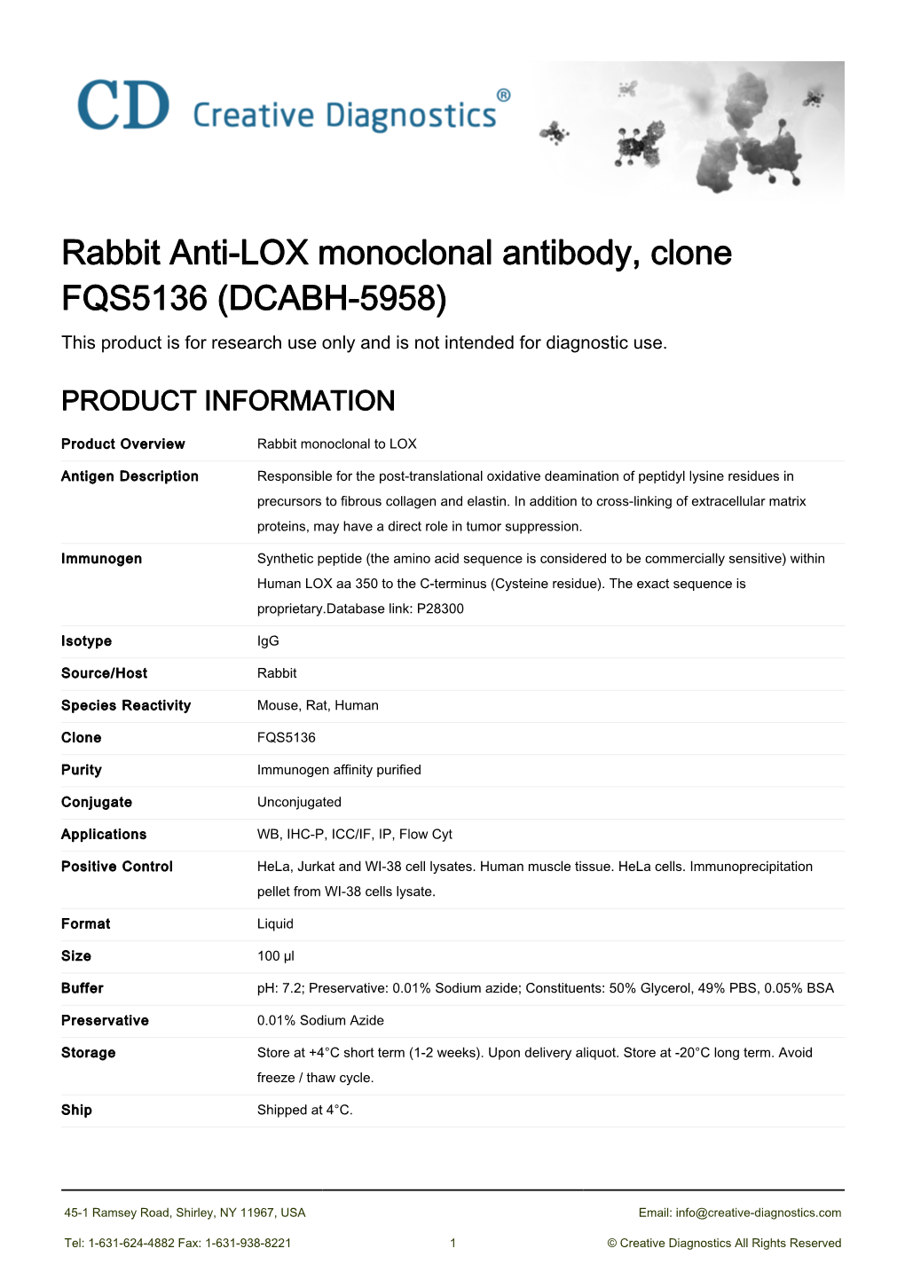 Rabbit Anti-LOX Monoclonal Antibody, Clone FQS5136 (DCABH-5958) This Product Is for Research Use Only and Is Not Intended for Diagnostic Use