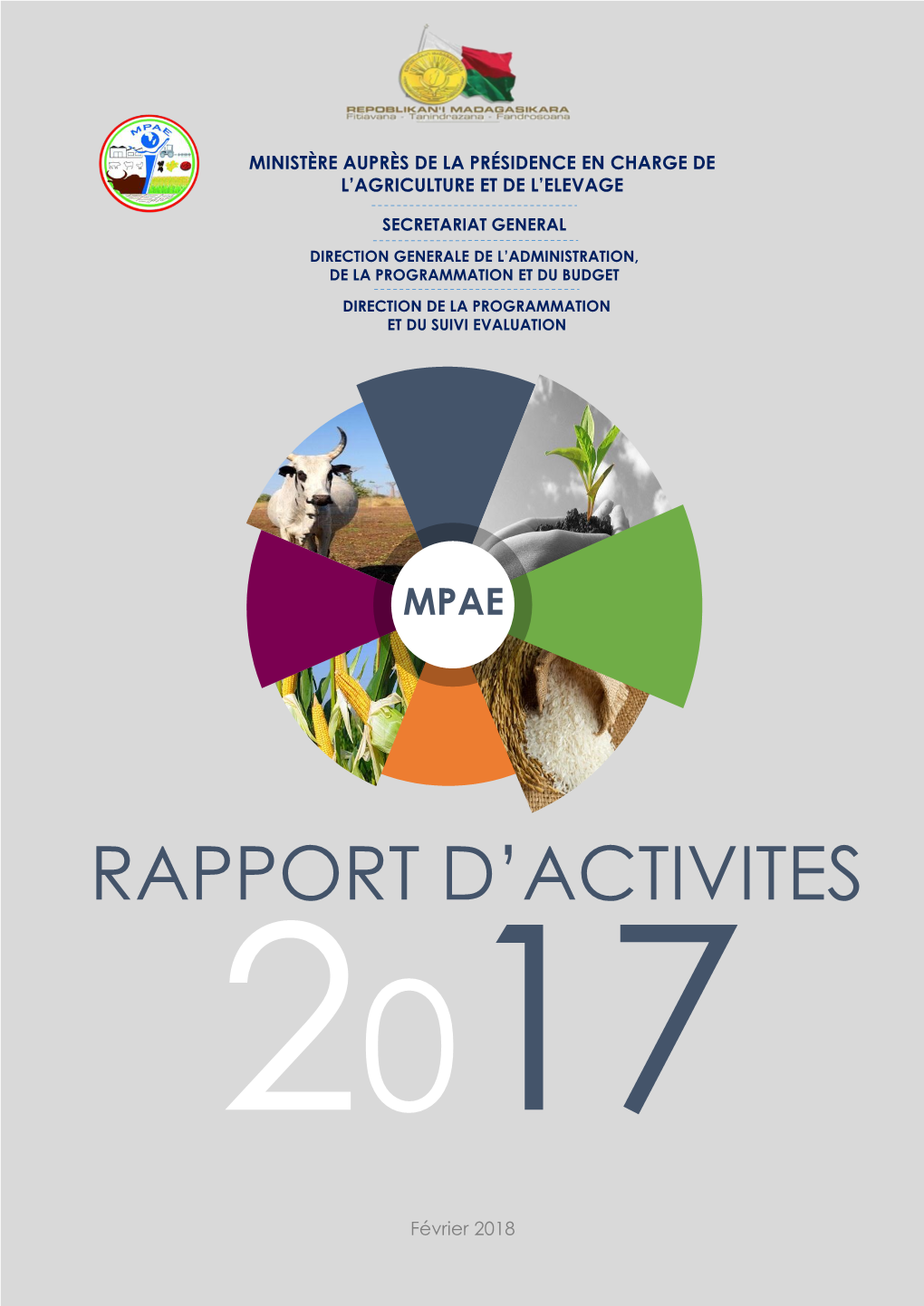 Rapport D'activités 2017 MPAE