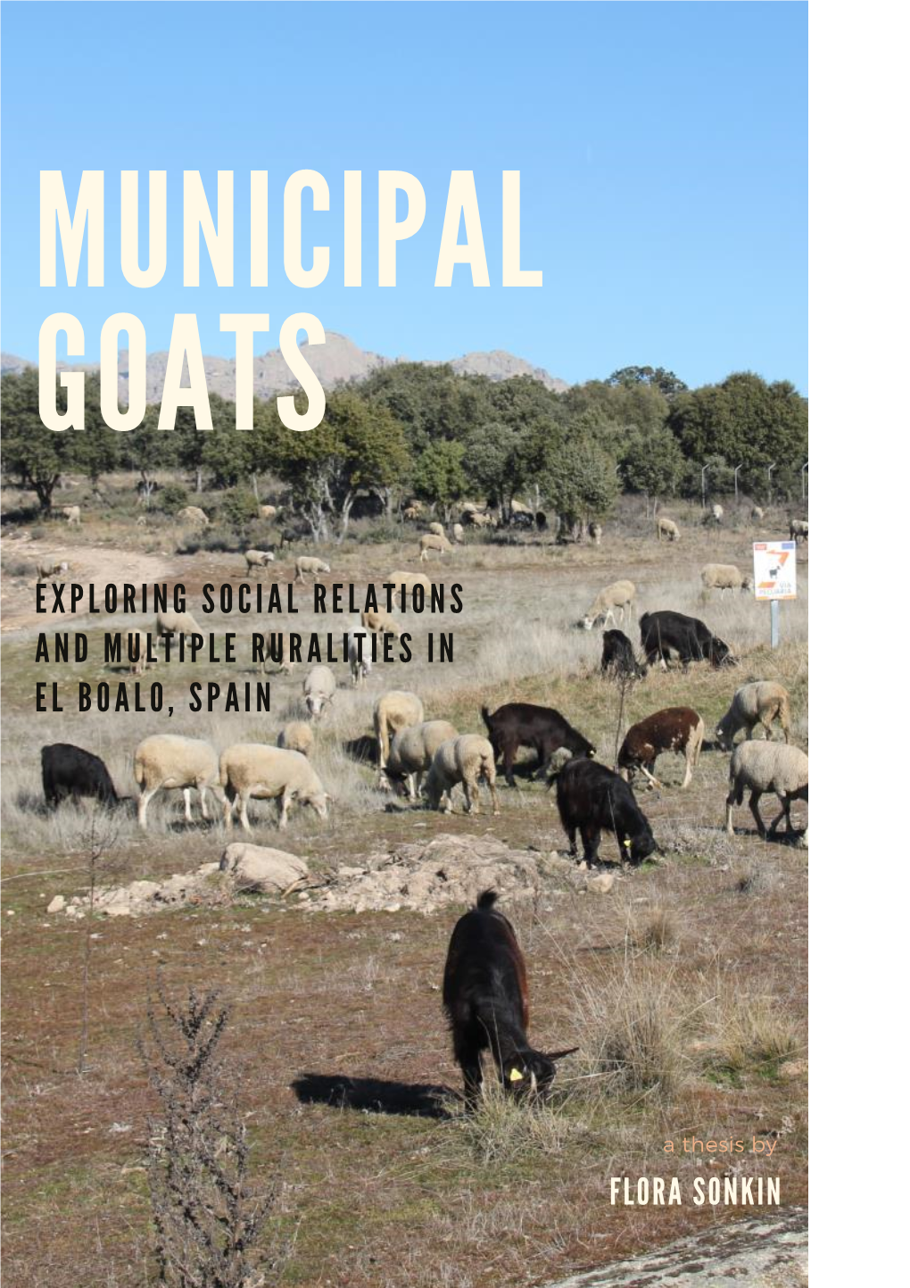 MUNICIPAL GOATS Exploring Social Relations and Multiple Ruralities in El Boalo, Spain