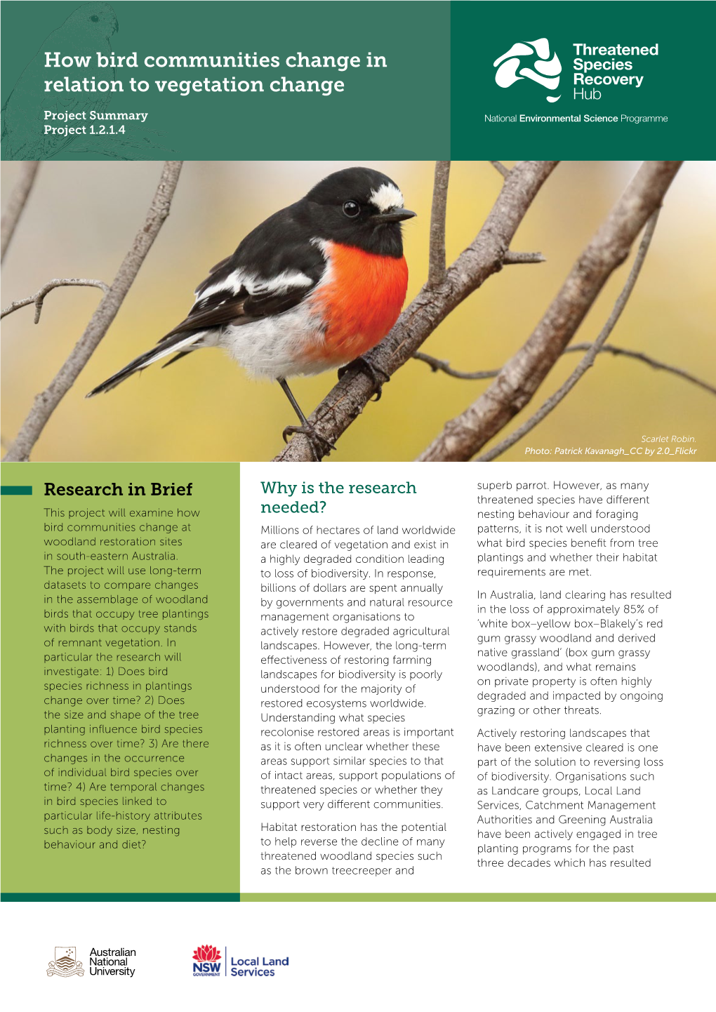 How Bird Communities Change in Relation to Vegetation Change